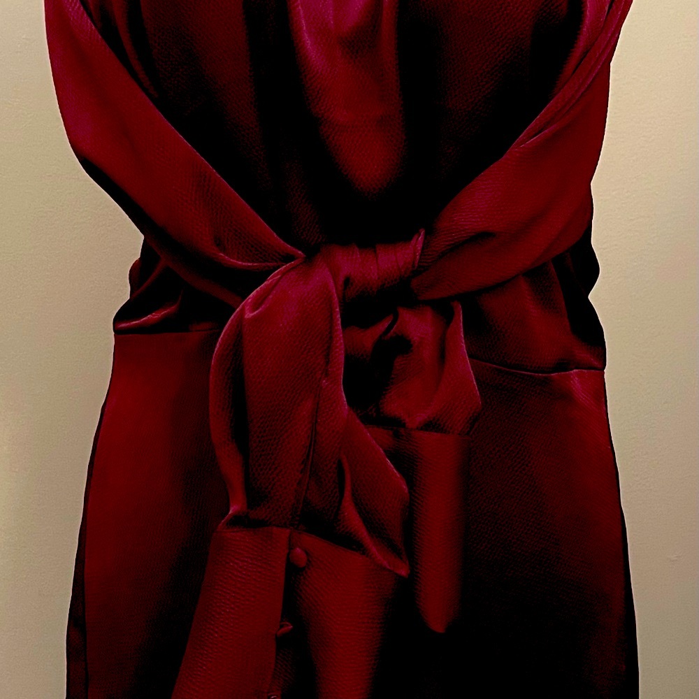 Elegant Burgundy Satin Dress